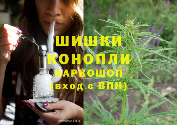 мдпв Бронницы