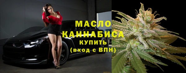 гашик Бородино