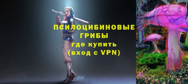 гидропоника Бугульма