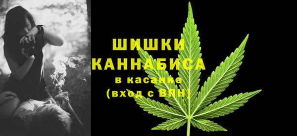 гашик Бородино
