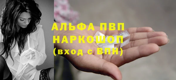гашик Бородино