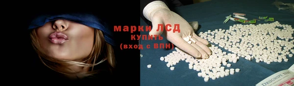 гашик Бородино