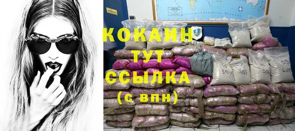 мдпв Бронницы