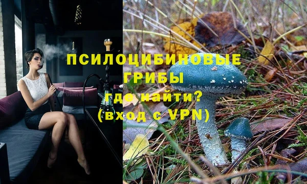 гашик Бородино