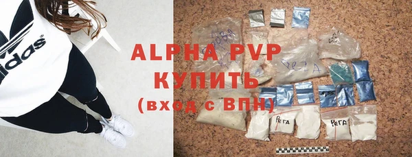 гашик Бородино