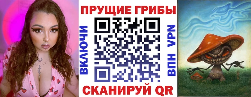 Купить закладки  Гаврилов Посад  Галлюциногенные грибы ЛСД 