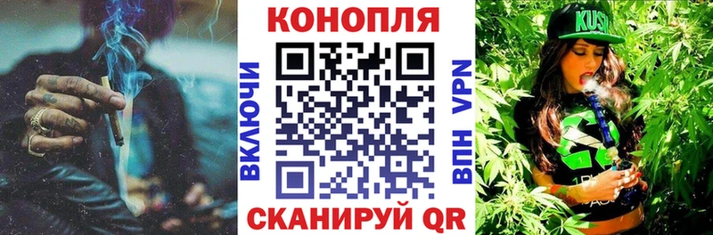 Купить закладки  Гаврилов Посад  Бошки марихуана THC 21% 